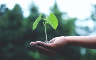 Comment devenir plus éco-responsable en tant que freelance ?